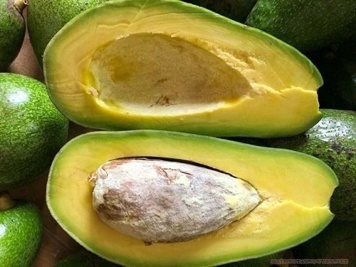 Những sai lầm khi ăn quả bơ có thể biến thứ quả bổ dưỡng này thành ‘thuốc độc’ Những sai lầm khi ăn quả bơ có thể biến thứ quả bổ dưỡng này thành ‘thuốc độc’