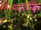 Khởi tố 6 vụ án, bắt giam 22 bị can liên quan đến quán bar Paris Night