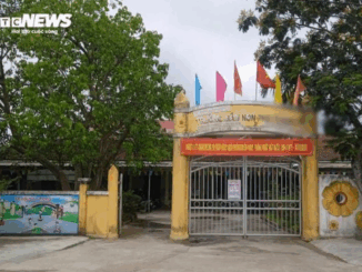 Nữ Hiệu phó trường mầm non