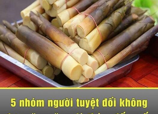 5 nhóm người tuyệt đối không được ăn măng dù thèm đến mấy kẻo hối không kịp 5 nhóm người tuyệt đối không được ăn măng dù thèm đến mấy kẻo hối không kịp