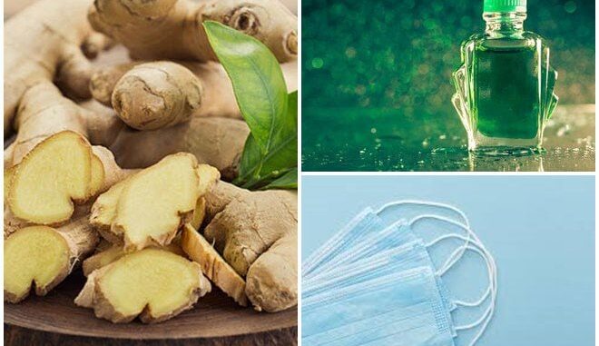 Nhỏ dầu gió vào gừng tươi: Có tác dụng cực tốt trị cảm lạnh, giảm nghẹt mũi ai cũng thích Nhỏ dầu gió vào gừng tươi: Có tác dụng cực tốt trị cảm lạnh, giảm nghẹt mũi ai cũng thích