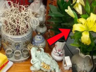 ĐỪNG dại đặt 5 loài hoa này lên bàn thờ, dân gian kỵ vì dễ rước xui vào nhà