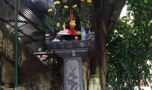 Mẹ mất nhà không có con trai nối dõi tôi xin mẹ chồng đưa ảnh mẹ về thờ mẹ tôi liền chỉ ra cái ban thờ ngoài sân… muốn rước về thì đặt ở đó. Tôi trầm ngâm 3 giây rồi rút ra mảnh giấy khiến cả nhà chồng run như cầy sấy!!! Mẹ mất nhà không có con trai nối dõi tôi xin mẹ chồng đưa ảnh mẹ về thờ mẹ tôi liền chỉ ra cái ban thờ ngoài sân… muốn rước về thì đặt ở đó. Tôi trầm ngâm 3 giây rồi rút ra mảnh giấy khiến cả nhà chồng run như cầy sấy!!!