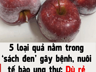5 loại quả nằm trong ‘sách đen’ gây bệnh, nuôi tế bào uпg thư: Dù rẻ mấy cũng đừng mua ăn