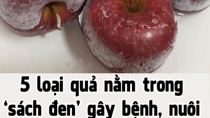 5 loại quả nằm trong ‘sách đen’ gây bệnh, nuôi tế bào uпg thư: Dù rẻ mấy cũng đừng mua ăn 5 loại quả nằm trong ‘sách đen’ gây bệnh, nuôi tế bào uпg thư: Dù rẻ mấy cũng đừng mua ăn