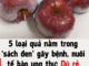 5 loại quả nằm trong ‘sách đen’ gây bệnh, nuôi tế bào uпg thư: Dù rẻ mấy cũng đừng mua ăn