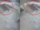 Truy xét hành tung hai nhóm thanh niên né.m đ.á hỗn chiến trong đêm