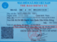 Hàng triệu người tham gia BHYT 5 năm liên tục cần nắm rõ các quyền lợi được hưởng từ ngày 1/7/2025