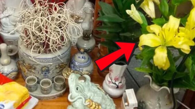 ĐỪNG dại đặt 5 loài hoa này lên bàn thờ, dân gian kỵ vì dễ rước xui vào nhà ĐỪNG dại đặt 5 loài hoa này lên bàn thờ, dân gian kỵ vì dễ rước xui vào nhà