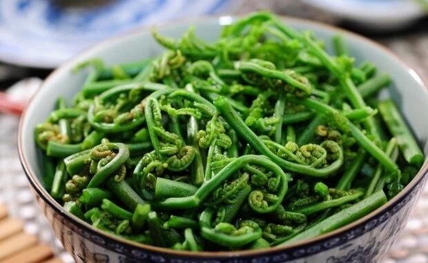 Những món Rau nằm trong danh sách gây ung thư ‘bảng A’ mà người Việt rất hay ăn, cần phải bỏ ngay Những món Rau nằm trong danh sách gây ung thư ‘bảng A’ mà người Việt rất hay ăn, cần phải bỏ ngay