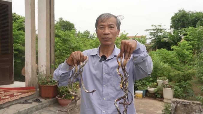 D;ị nhân Nam Định chính thức lên tiếng về thông tin bán bộ móng tay dài 1m với giá 10 tỷ đồng D;ị nhân Nam Định chính thức lên tiếng về thông tin bán bộ móng tay dài 1m với giá 10 tỷ đồng