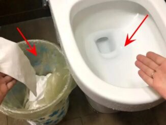 Nên vứt giấy vệ sinh vào thùng rác hay bồn cầu? Việc đơn giản nhưng không phải ai cũng thực hiện đúng