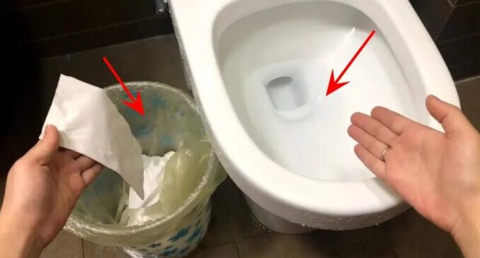 Nên vứt giấy vệ sinh vào thùng rác hay bồn cầu? Việc đơn giản nhưng không phải ai cũng thực hiện đúng