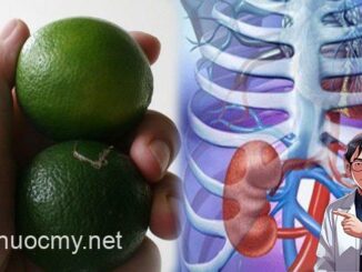 Đọc xong bài viết này, chắc chắn lúc nào bạn sẽ luôn mang theo bên mình 1 quả chanh, sẽ có lúc cứu sống bạn đấy