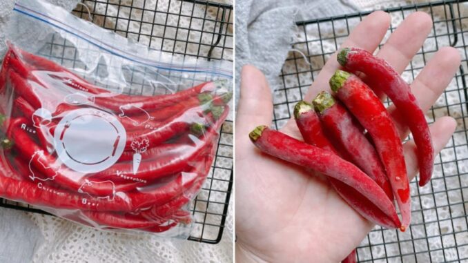 Mẹo bảo quản ớt cả năm không hỏng Mẹo bảo quản ớt cả năm không hỏng