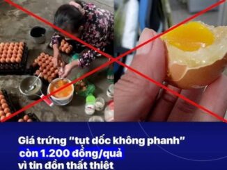 Chính thức vào cuộc thông tin về việc sản xuất trứng gà giả