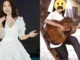 Mỹ Tâm bị xới tung ảnh quá khứ giữa drama, 3 thập kỷ visual thăng hạng cỡ nào?