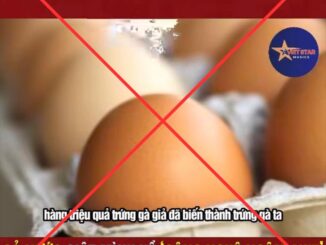 S//ốc: Trứng gà giả “hô biến” thành trứng gà ta y như thật, cơ quan chức năng đã chính thức vào cuộc