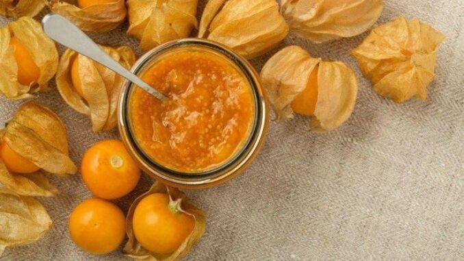 Loại cây mọc dại ở Việt Nam, bên Nhật quý như “thần dược”, giá “chát”