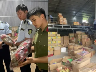 Đột kích kho hàng lậu 34.000 sản phẩm, phát hiện chân gà, xúc xích thố.i rữ.a