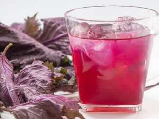 3 thời điểm tốt nhất nên uống lá tía tô mà ít người biết