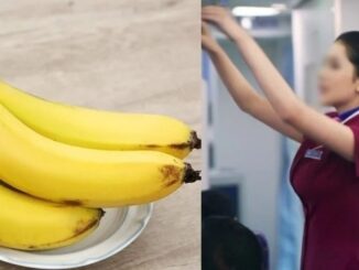 Tại sao tiếp viên hàng không thường mang theo một quả chuối khi lên máy bay? Họ ăn hay có mục đích gì khác? Nghe sự thật mà ch:o:áng luôn